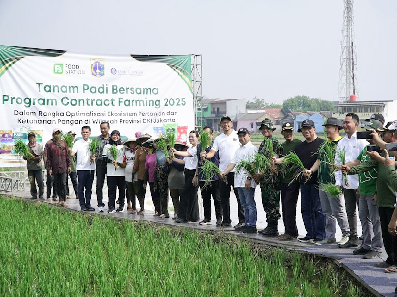 Food Station Gandeng Petani Rorotan, Panen Raya Jakarta Terjamin